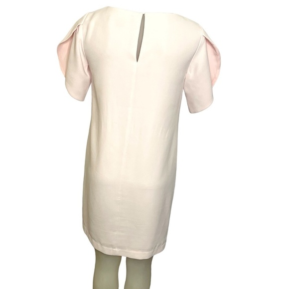 Light Pink Shift Dress With Tulip Sleeves 🤍 - Picture 2 of 10